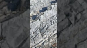 Как с главного пляжа пос. Агой пройти к мышиным норам по берегу черного моря. Часть 1