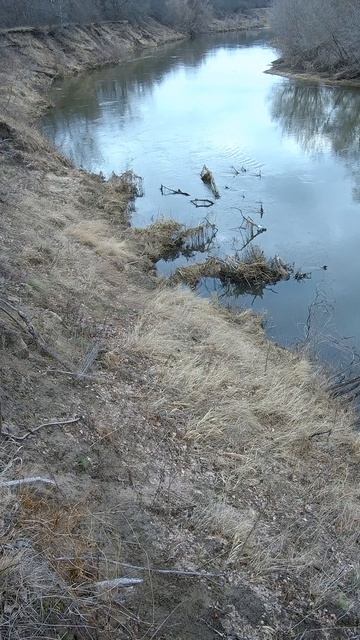 На бреге смотреть онлайн