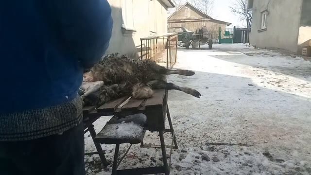 Баран на шашлик. смотреть онлайн