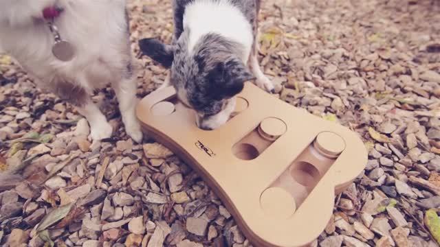 ПОКУПКИ ДЛЯ СОБАКИ: ВЫБИРАЕМ ЛУЧШУЮ ИГРУШКУ ВМЕСТЕ С ДОГМАМОЙ 🛍️🐕 смотреть онлайн