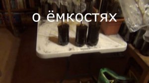 Высадка саженцев. Ёмкости. Грунт. Поливы