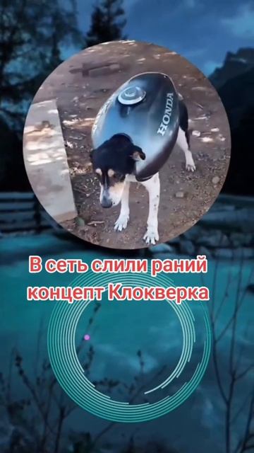 #дота2приколы #dota2 #дота2мемы #dotawtfmoments #приколыдота2 #приколыдота2 #дотамемы #дота #дота2 # смотреть онлайн