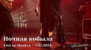 Мельница - Ночная кобыла - Live in Moskva, 5.12.2024