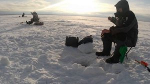 Зимняя рыбалка на Белом море. Параниха. Навага (жаль, только мелкая).