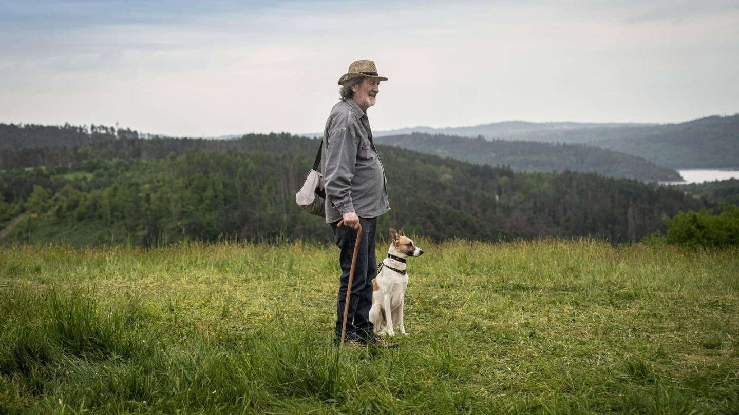 Гампи. Собачья жизнь — Русский трейлер (фильм 2024) / Gump - Jsme dvojka смотреть онлайн