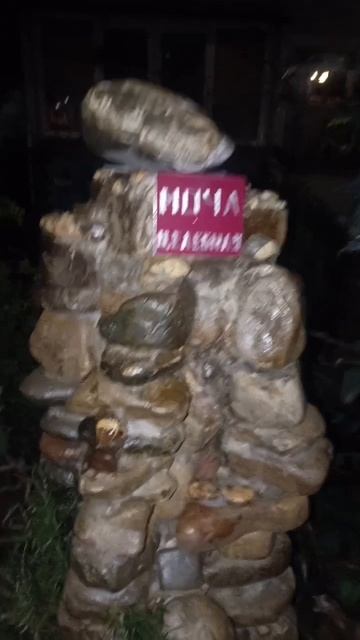 Целебная сила #рекомендации #fyp #memes #moto #залетит #жиза смотреть онлайн