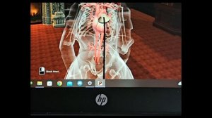 Playing Heart Maid Mansion (HMMv9) feat. my Heartbeat