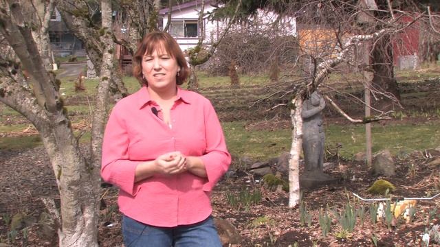 Tomatoes & Gardening Tips : How to Grow a Serviceberry Tree смотреть онлайн
