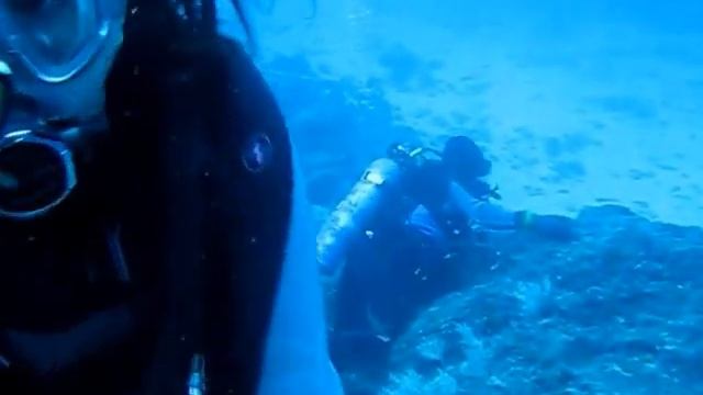 Galapagos смотреть онлайн