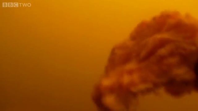 Piranha Cam - Natural World 2012-2013: Giant Otters of the Amazon Preview - BBC смотреть онлайн
