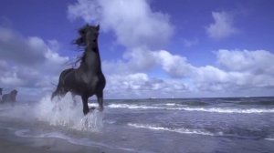 James Last - El Condor Pasa