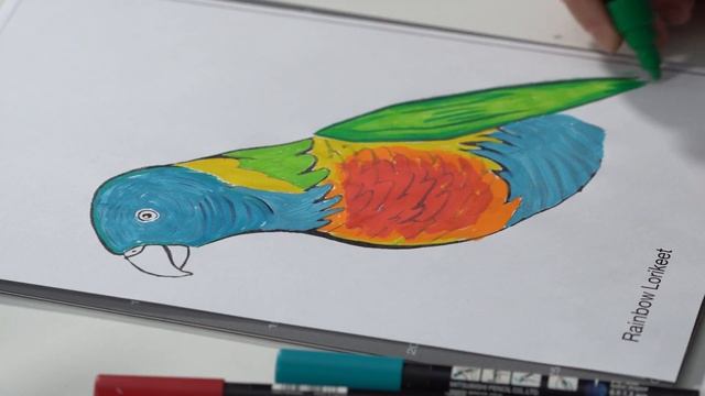 NAIDOC Week: Drawing workshop with Noni Cragg смотреть онлайн