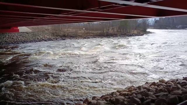 Лосево 2025 смотреть онлайн