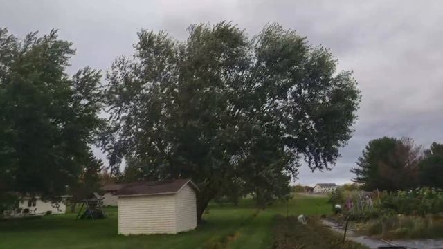 Многодетная семья в деревне, участок и огород семьи Савченко смотреть онлайн