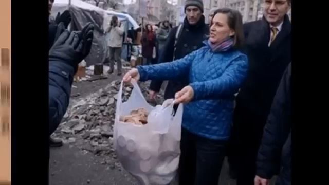 Печенье Нуланд, кто есть кто