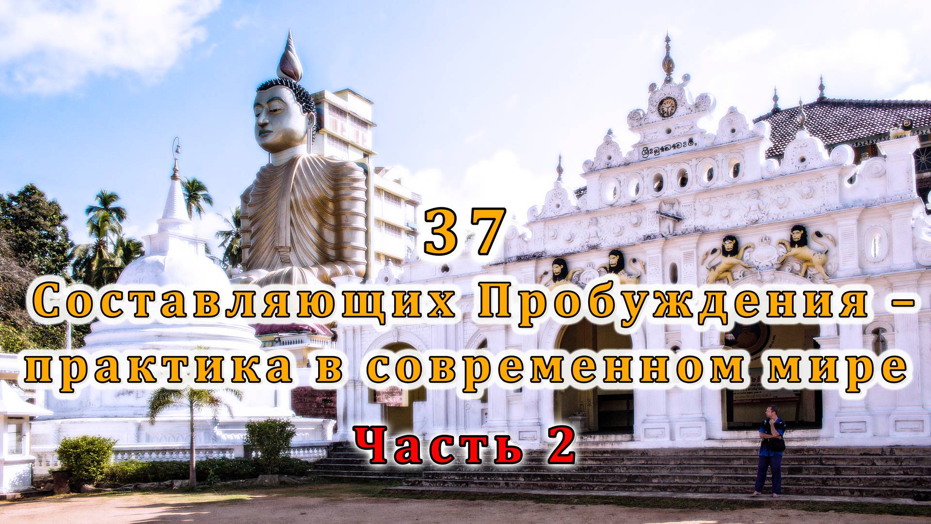 37 Составляющих Пробуждения – практика в современном мире. Часть 2 смотреть онлайн