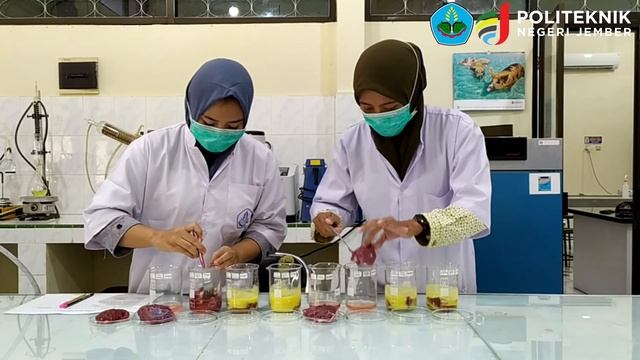 Praktikum Biokimia || Uji Aktivitas Enzim Bromelin dan Papaain смотреть онлайн