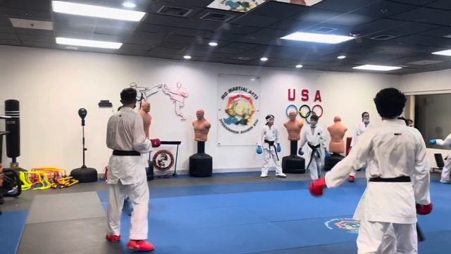 WKF karate training смотреть онлайн