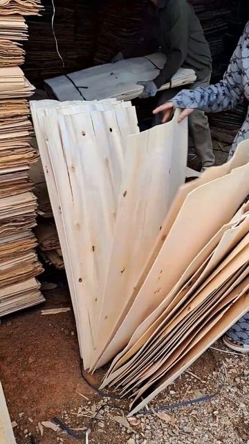 CVFV - CORE VENEER EXPORTING FROM KCR IMPORT AND EXPORT COMPANY. смотреть онлайн