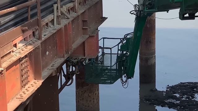 RISKIEST  RESCUE OF MY LIFE| PYTHON IN SEA.