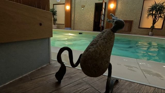 Бассейн Амбасадор СПБ смотреть онлайн