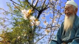 НЕ ТОРОПИСЬ ВСЁ ПРИХОДИТ ВОВРЕМЯ. 10 БУДДИЙСКИХ УРОКОВ О ТЕРПЕНИИ