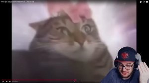 РУЧНОЙ МОШЕННИК НЕКОГЛАЯ - ИВАНГАЙ ► BVS | Реакция