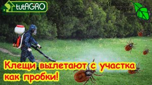 ЭТО САМОЕ сильное СРЕДСТВО ОТ ВСЕХ КЛЕЩЕЙ без химии! ЛУЧШАЯ надёжная защита от энцефалитных клещей!