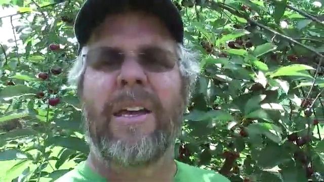 UMass Fruit Advisor: July 10-, 2007, Balaton and Regina смотреть онлайн