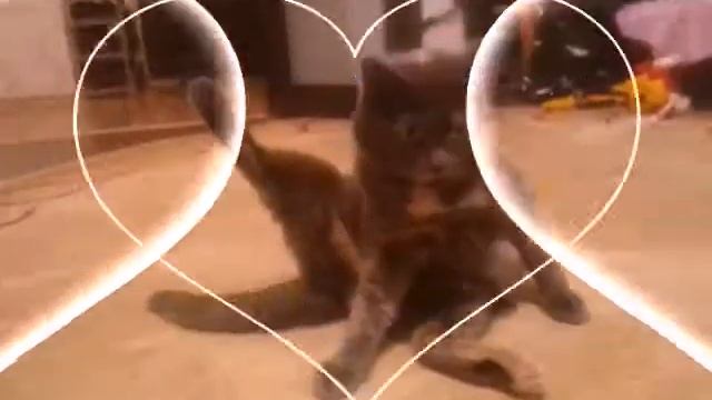 Алиса я тебя люблю!!! 😍😘😻❤💓💕💖💗💝💞 смотреть онлайн