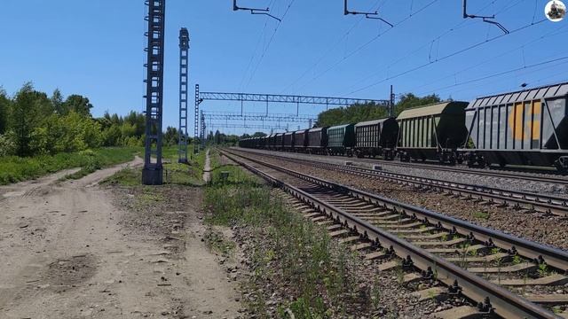 Железная дорога. Электровоз ВЛ11-080Б/ВЛ11-130 с грузовым поездом на ст.Рязанцево. смотреть онлайн