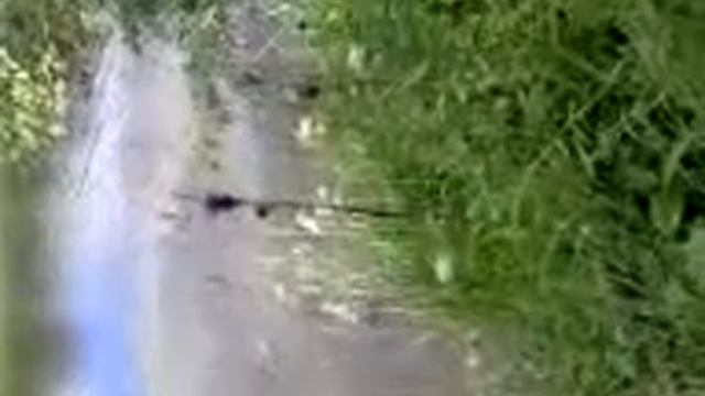 лето смотреть онлайн
