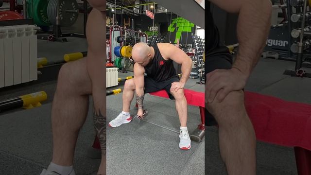 Концентрированные сгибания рук с гантелью сидя смотреть онлайн