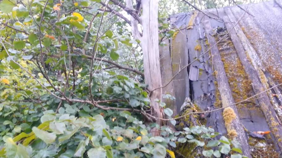 Осенняя слякоть смотреть онлайн