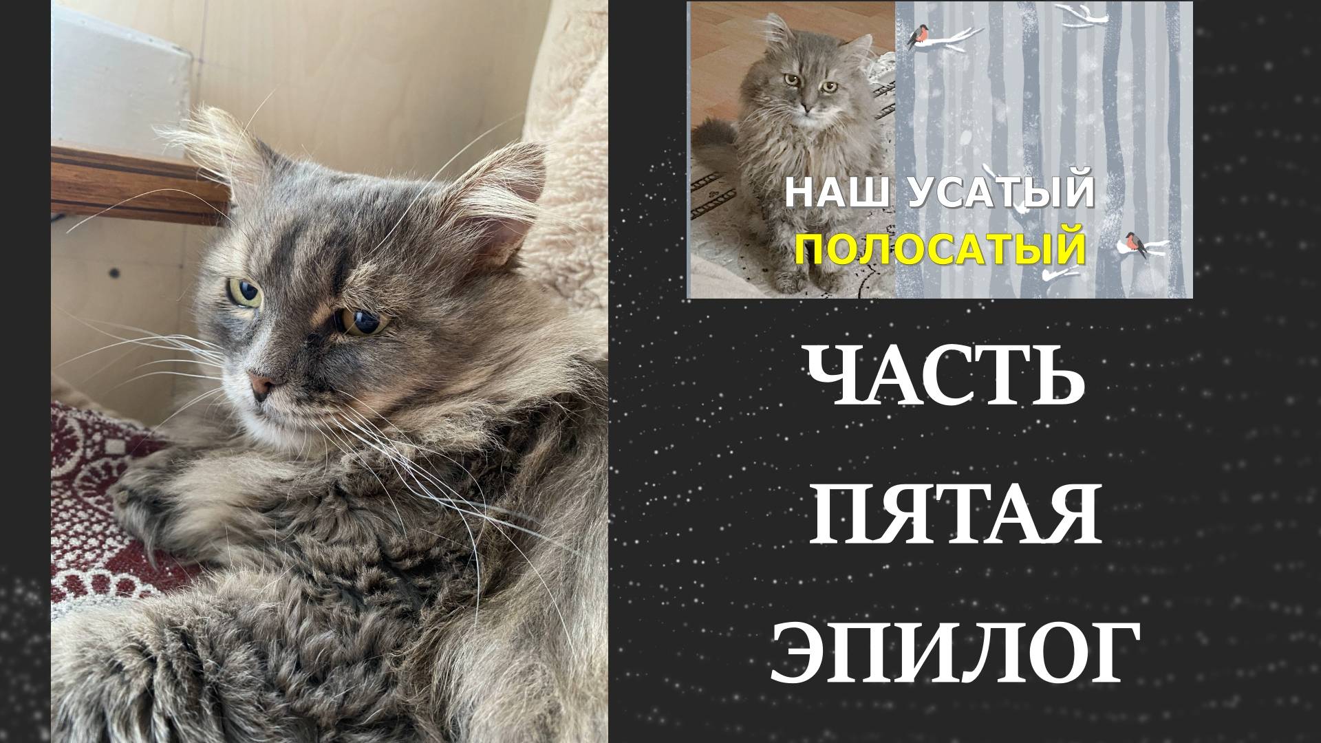Фильм "Усатый полосатый" часть 5 заключительная, эпилог. смотреть онлайн