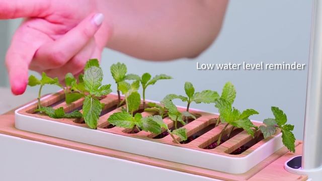 Home Gardening Smart Planter Hydroponic Growing System Indoor Herb Garden Kit Smart Planter with LE смотреть онлайн