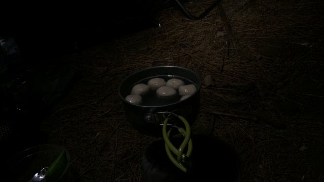 Solo camping in the pinewood (TARP TENT) смотреть онлайн