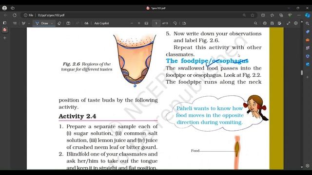 NUTRITION IN ANIMALS|CLASS 7 SCIENCE NCERT|CHAPTER 2#nutrition #plantnutrition #upscpreparation