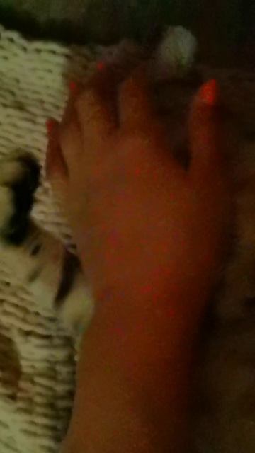 ВЕЛЮРОВЫЕ ПЛЮШИКИ