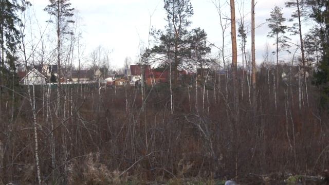 СНТ Полесье смотреть онлайн