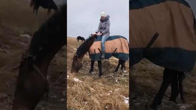 Хамоня. Лошадь. Катание. смотреть онлайн