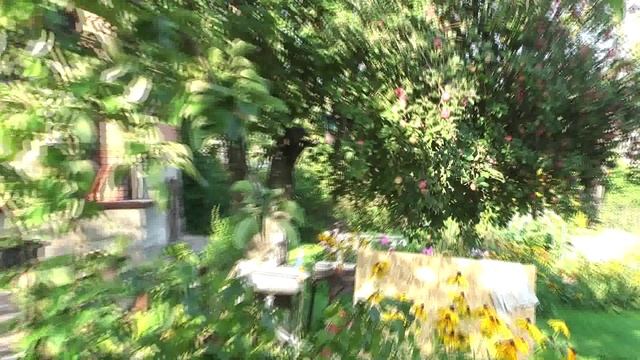 серьезный мужчина смотреть онлайн