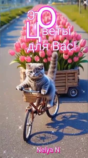 Доброе Утро. ВидеоОткрытка на каждый день смотреть онлайн