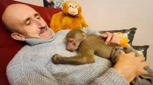 Люся так редко бывает ТАКОЙ МИЛОЙ, только когда ей что-то нужно от папы Влада)))