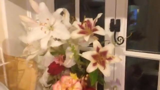 The new house #1- ground floor смотреть онлайн