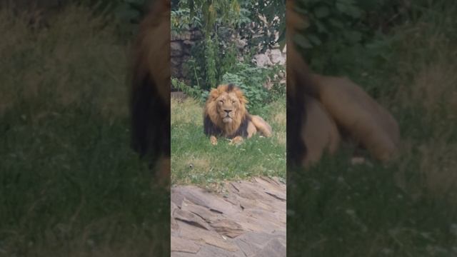 Москва,Зоопарк