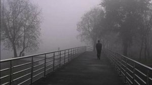 Братья Радченко Туман-туманище