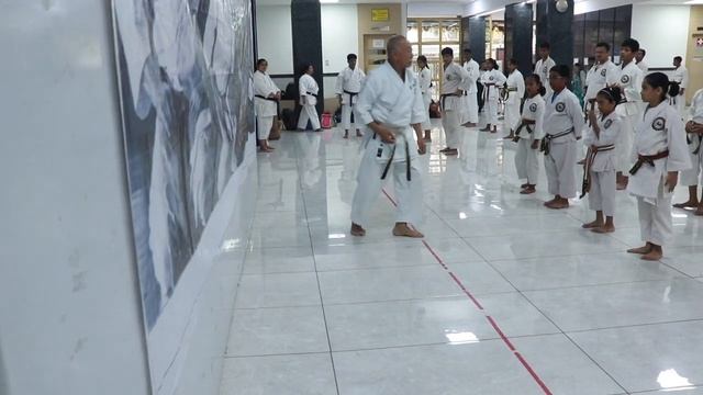 Kihon, Basic 180 degree Tenshin exercise #2, January 2024 Mumbai seminar смотреть онлайн
