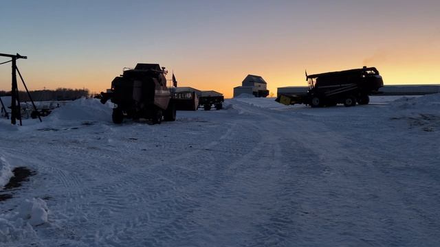Молотим подсолнечник смотреть онлайн