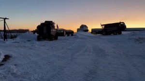 Молотим подсолнечник